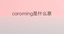 caroming是什么意思 caroming的中文翻译、读音、例句