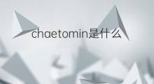chaetomin是什么意思 chaetomin的中文翻译、读音、例句