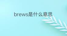 brews是什么意思 brews的中文翻译、读音、例句