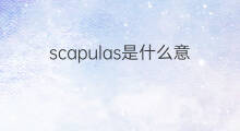 scapulas是什么意思 scapulas的中文翻译、读音、例句