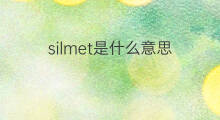 silmet是什么意思 silmet的中文翻译、读音、例句
