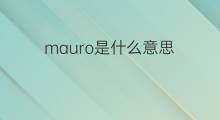 mauro是什么意思 mauro的中文翻译、读音、例句