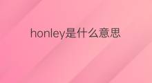 honley是什么意思 honley的中文翻译、读音、例句