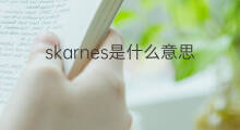 skarnes是什么意思 skarnes的中文翻译、读音、例句