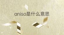 aniso是什么意思 aniso的中文翻译、读音、例句
