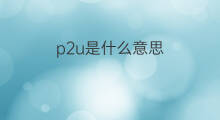 p2u是什么意思 p2u的中文翻译、读音、例句