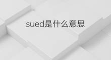 sued是什么意思 sued的中文翻译、读音、例句