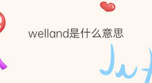 welland是什么意思 welland的中文翻译、读音、例句