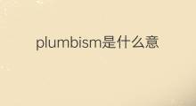 plumbism是什么意思 plumbism的中文翻译、读音、例句