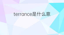 terrance是什么意思 terrance的中文翻译、读音、例句