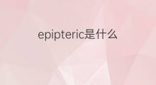epipteric是什么意思 epipteric的中文翻译、读音、例句