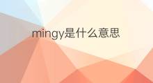 mingy是什么意思 mingy的中文翻译、读音、例句
