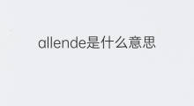 allende是什么意思 allende的中文翻译、读音、例句