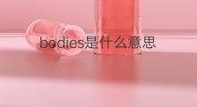 bodies是什么意思 bodies的中文翻译、读音、例句