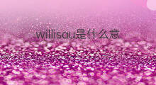 willisau是什么意思 willisau的中文翻译、读音、例句