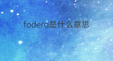 fodera是什么意思 fodera的中文翻译、读音、例句