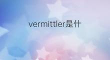 vermittler是什么意思 vermittler的中文翻译、读音、例句
