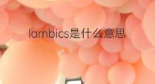lambics是什么意思 lambics的中文翻译、读音、例句