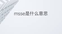 msse是什么意思 msse的中文翻译、读音、例句