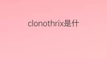 clonothrix是什么意思 clonothrix的中文翻译、读音、例句