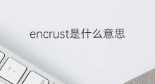 encrust是什么意思 encrust的中文翻译、读音、例句