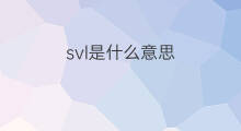 svl是什么意思 svl的中文翻译、读音、例句