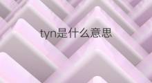 tyn是什么意思 tyn的中文翻译、读音、例句