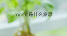 moms是什么意思 moms的中文翻译、读音、例句
