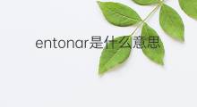 entonar是什么意思 entonar的中文翻译、读音、例句