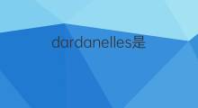 dardanelles是什么意思 dardanelles的中文翻译、读音、例句
