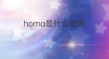 homa是什么意思 homa的中文翻译、读音、例句