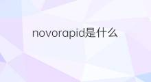 novorapid是什么意思 novorapid的中文翻译、读音、例句