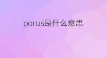 porus是什么意思 porus的中文翻译、读音、例句