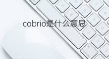 cabrio是什么意思 cabrio的中文翻译、读音、例句