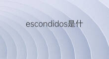 escondidos是什么意思 escondidos的中文翻译、读音、例句