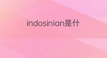 indosinian是什么意思 indosinian的中文翻译、读音、例句