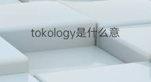 tokology是什么意思 tokology的中文翻译、读音、例句
