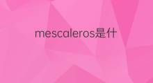 mescaleros是什么意思 mescaleros的中文翻译、读音、例句
