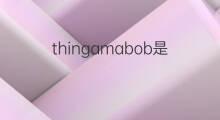 thingamabob是什么意思 thingamabob的中文翻译、读音、例句