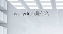 wallydrag是什么意思 wallydrag的中文翻译、读音、例句