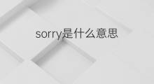 sorry是什么意思 sorry的中文翻译、读音、例句