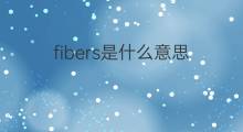 fibers是什么意思 fibers的中文翻译、读音、例句