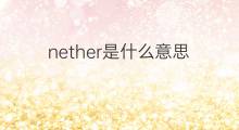 nether是什么意思 nether的中文翻译、读音、例句