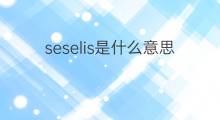 seselis是什么意思 seselis的中文翻译、读音、例句