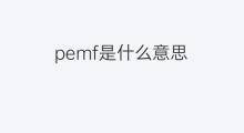pemf是什么意思 pemf的中文翻译、读音、例句