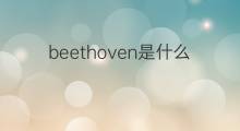 beethoven是什么意思 beethoven的中文翻译、读音、例句