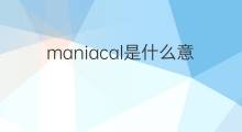 maniacal是什么意思 maniacal的中文翻译、读音、例句