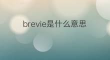 brevie是什么意思 brevie的中文翻译、读音、例句