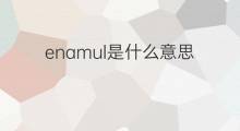 enamul是什么意思 enamul的中文翻译、读音、例句