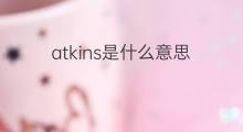 atkins是什么意思 atkins的中文翻译、读音、例句